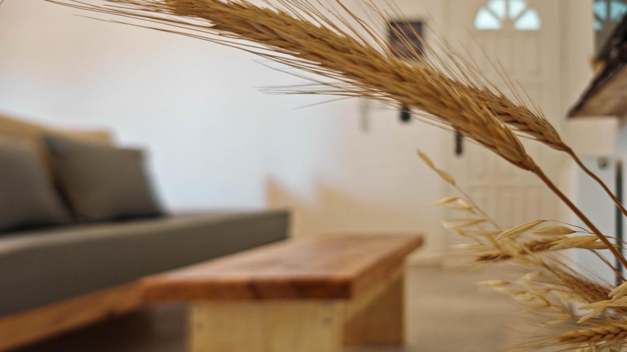 Paraga Suites Naxos City Zewnętrze zdjęcie